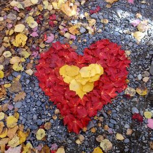 Meet your Posher, Cj